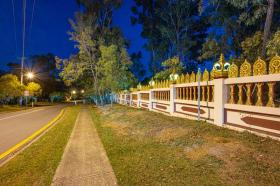 41_Z61_7667_20-08-21